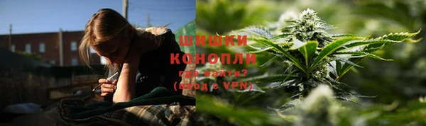 ГАЛЛЮЦИНОГЕННЫЕ ГРИБЫ Балахна