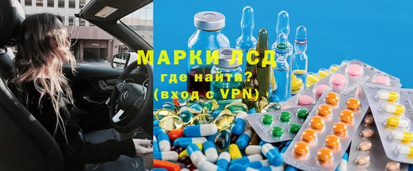 ГАЛЛЮЦИНОГЕННЫЕ ГРИБЫ Балахна