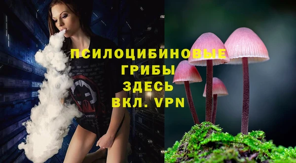 ГАЛЛЮЦИНОГЕННЫЕ ГРИБЫ Балахна