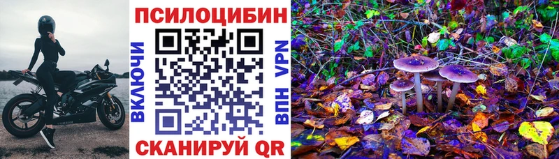 Псилоцибиновые грибы GOLDEN TEACHER  Губаха 