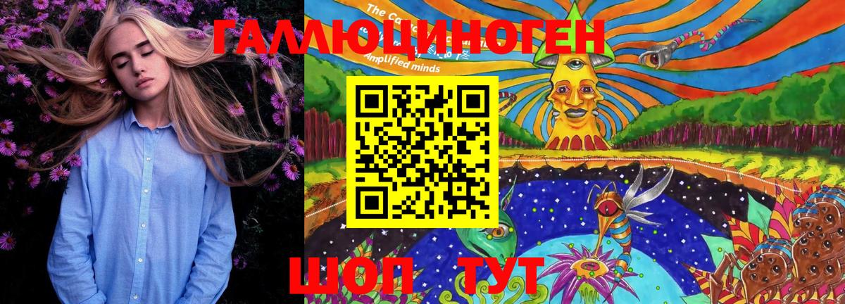 Псилоцибиновые грибы Psilocybine cubensis Губаха